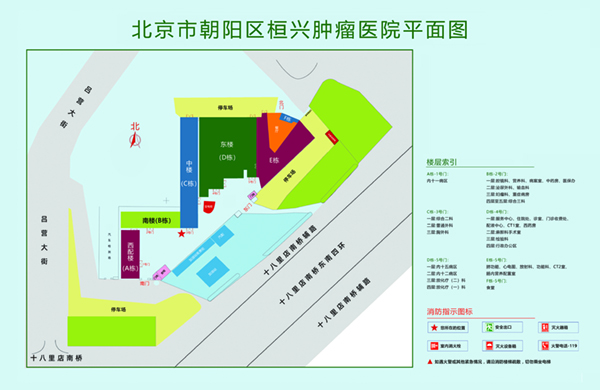 操中国骚逼老太北京市朝阳区桓兴肿瘤医院平面图